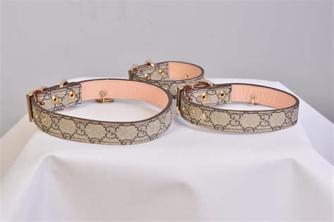 gucci charms cani